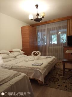 Casa Rodica str. Clabucetului 28 - Buşteni - 4