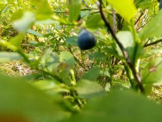 Apartament Szachowy - 4