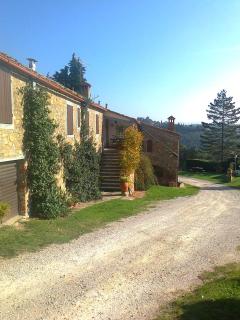 Due Piani - Barberino di Val d'Elsa - 2