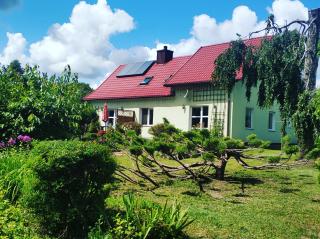 Domek pod brzozą - Mrągowo - 0