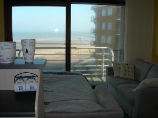 Studio apartment 'De Strandwandeling' with frontal sea view near Ostend - Oostende - 5