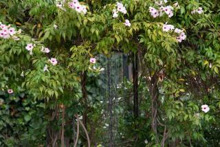 Boutique Villa Etna d'A'mare - Trecastagni - 2