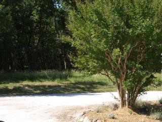 LE CHEMINARD - Feugarolles - 7