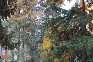 appartamento Jacopo - Padova - 0