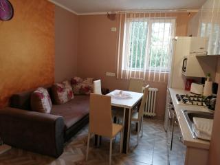 Apartamente DELUXE George - Baile Felix - 5