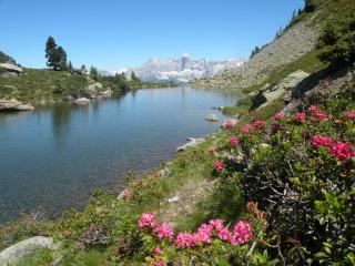 Premium Wanderhotel Steirerhof - 4