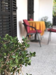 Guest House Plima 2 - Budva - 4