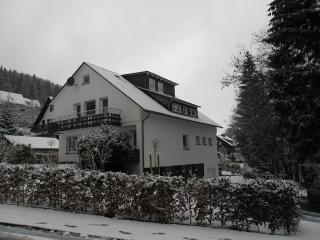 Ferienwohnung Haus Kloosterman - Winterberg - 0