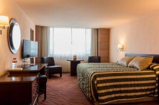 Hotel Real Plaza Aguascalientes - Aguascalientes - 3