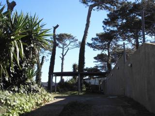Pineta 4 y 7 - Villa Gesell - 3