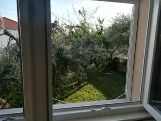 Olive grove - Vodice - 7