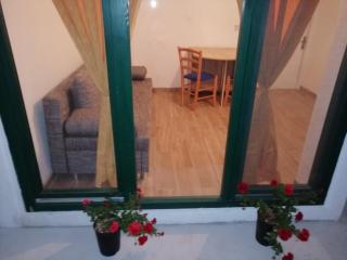 Apartman Milica - Golubić - 4