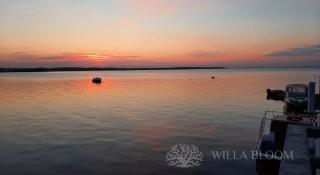 Willa Bloom - 9