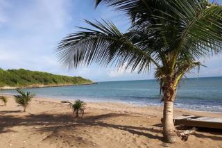 Bungalow sur magnifique plage-Le Nid d'Amande - Sainte-Rose - 0