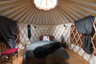 Nauti Otter Inn and Yurt Village - 7