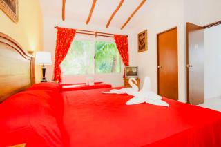 Executive Budget Room With Swimming Pool Air Conditioning and Parking - Playa del Carmen - 0