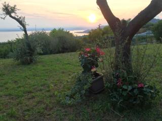 Villa Lilli Bardolino - Bardolino - 8