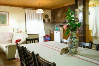 Cabana Mosneagului - 1