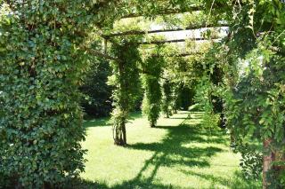 Venicegreen Agriresort - 5