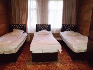 Agro Guest House Tsiskari in Machakhela - Khelvach'auri - 6