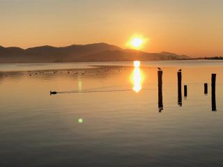 Vista Lago - Torre del Lago Puccini - 7