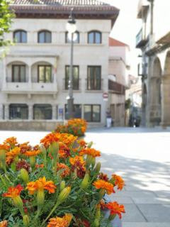 Portales de Pizarro - Béjar - 9