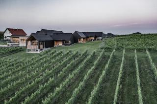 Weingut & Winzerhäuser Skringer - Leutschach - 9