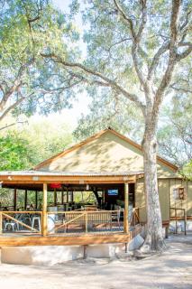 Sitatunga Campsite Maun - 6