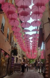 Magnifique 3P neuf en centre ville - Grasse - 2