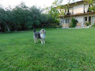 La Casa di Paglia - San Felice del Benaco - 4