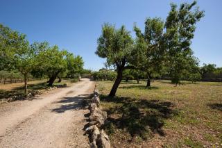 Villa Ca'n Lluis - La Goleta Hotel de Mar & Villas - Pollença - 7