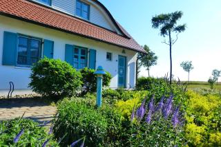Ferienhaus-Sonnenblume - Dranske - 0