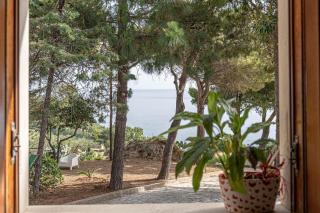 Palms Villa - Scopello - 9