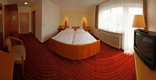 Hotel-Restaurant Zum Goldenen Löwen - Kelkheim - 3