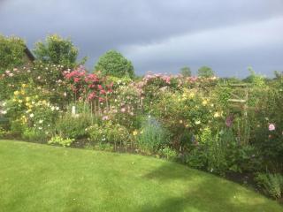 Deverill End - Warminster - 1