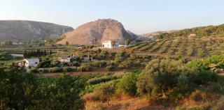 Agriturismo Casebianche - Montallegro - 6