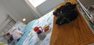 Hollybrae house Sleeps up to 6 - Kirkcaldy - 4