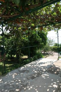 Guest house Ivo - 2