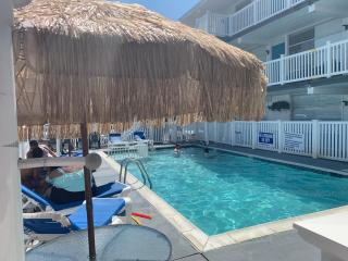 Bird of Paradise Motel - 4
