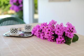 Apartman Naomi - Bibinje - 2