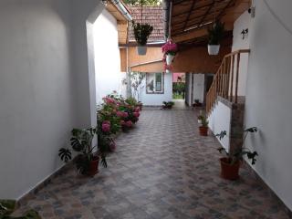 Casa Valea Morilor - Eftimie Murgu - 7