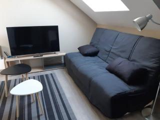 Elbeuf F2 Sweet Home combles NETFLIX WIFI - Elbeuf - 3