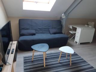 Elbeuf F2 Sweet Home combles NETFLIX WIFI - Elbeuf - 1