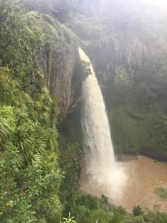 Waitomo Caves Guest Lodge - 5