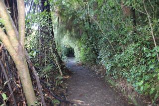 Waitomo Caves Guest Lodge - Waitomo Caves - 7
