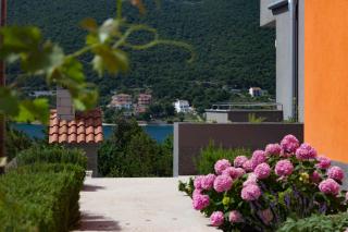 Apartments Timbar - Grebaštica - 1