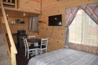 Drift Lodge - Island Park - 5