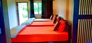 Stay with Brite The Home-stay in Chiang Mai - Chiang Mai - 8