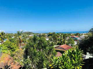 Appartement Tahiti-Faaa, 500m aéroport - Faaa - 6