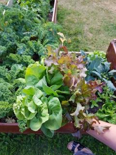 STF Glasbruket Hostel & Apartments - 7